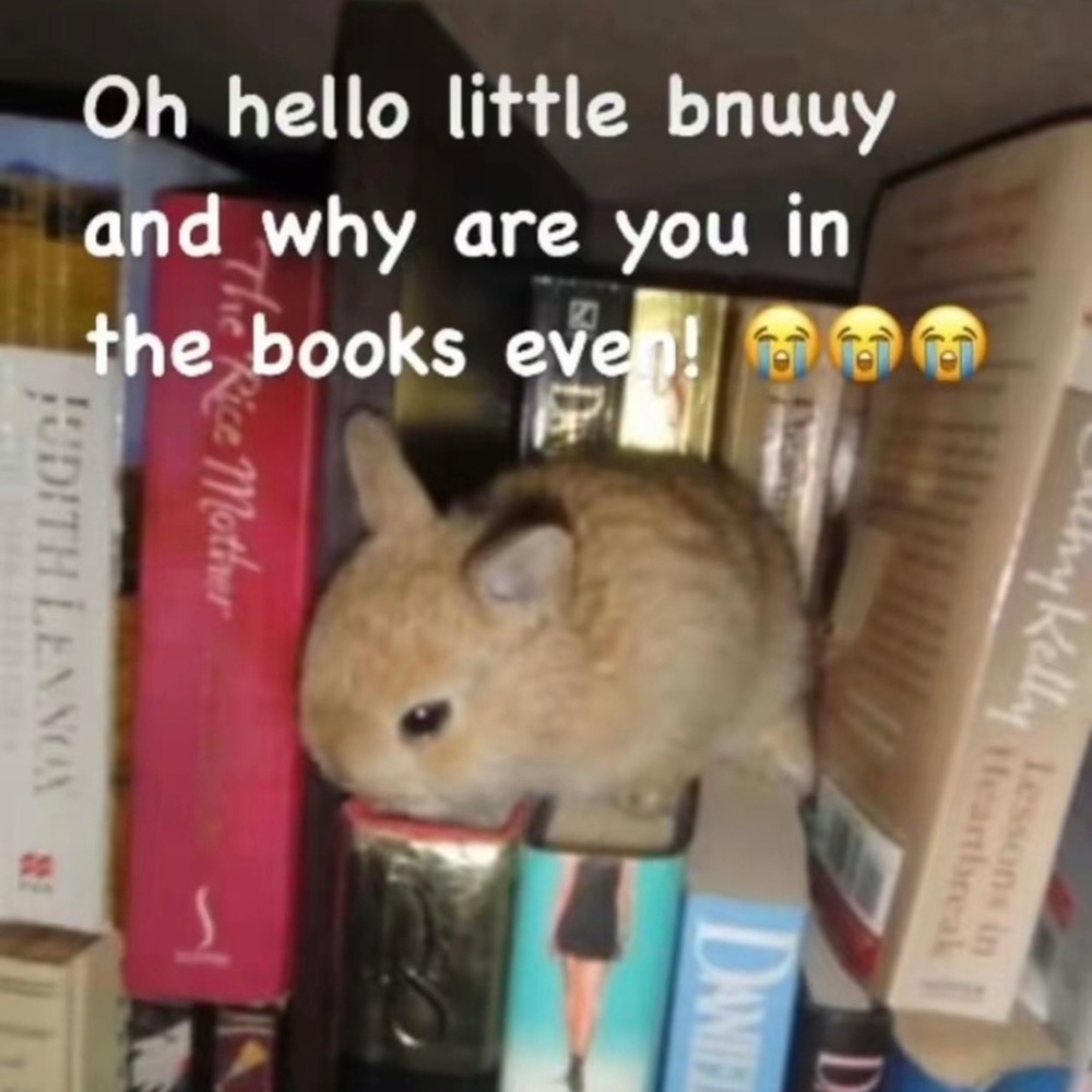 Meet your Posher, fiona 🦇